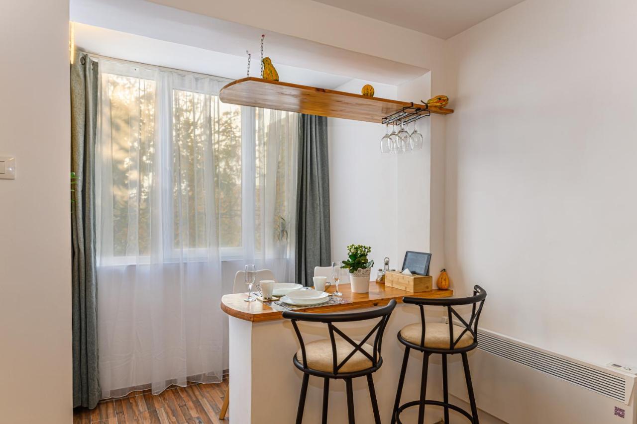 Jad - Family - Apartments & Studios Брашов Екстериор снимка
