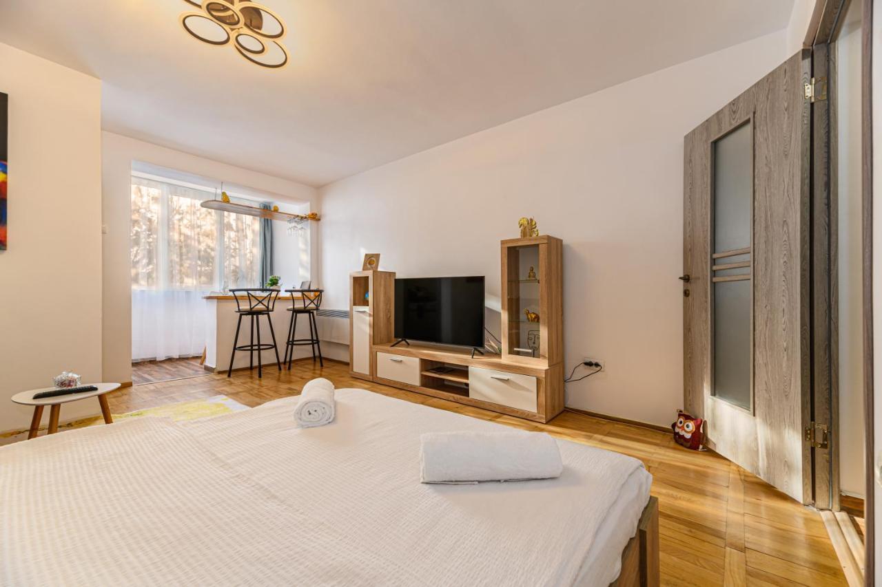 Jad - Family - Apartments & Studios Брашов Екстериор снимка
